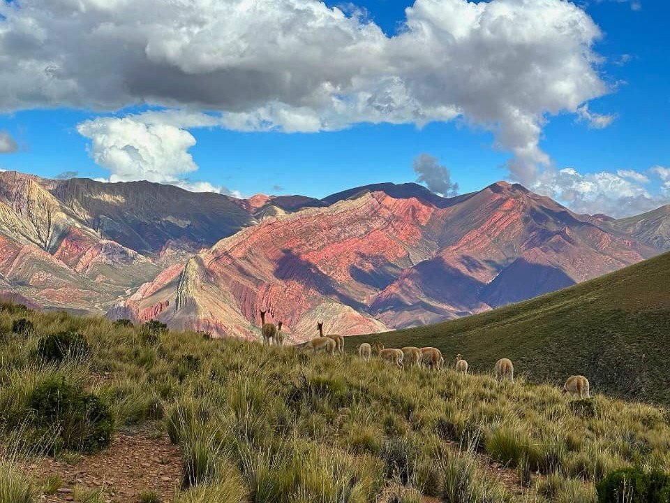 Jujuy e Salta